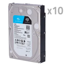Pack de discos duros - 10 unidades - Seagate SkyHawk ST10000VE0008 - Hasta 32 transmisiones de inteligencia artifici...