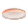 Aqara LED Plafón T1M - Zigbee 3.0 / Matter over Zigbee - Requiere AQARA HUB 3.0 - Repetidor Zigbee - 50.000 Horas de...