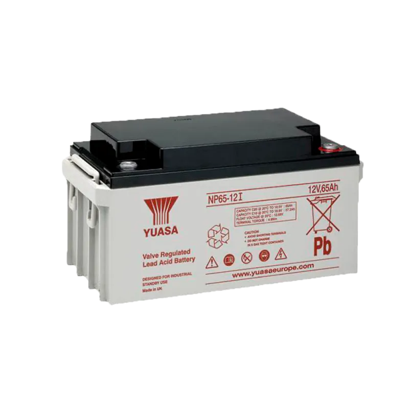 Yuasa NP65-12I - Batería recargable - Tecnología plomo ácido AGM - Voltaje 12 V / Capacidad 65 Ah - 174 x 350 x 166 m...